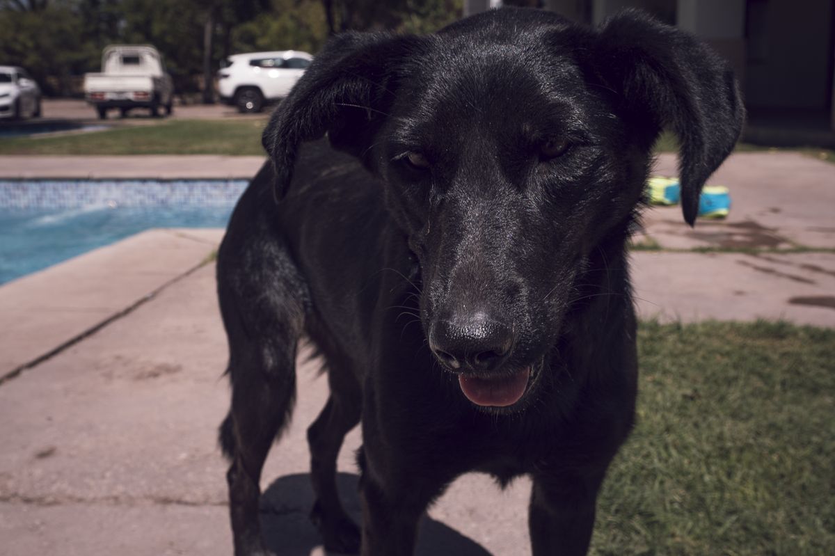 Piscinazo 2026 - DSC05284